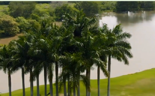 Terrenos Habitacionales Fracc. San Javier Cuahutemoc, Colima