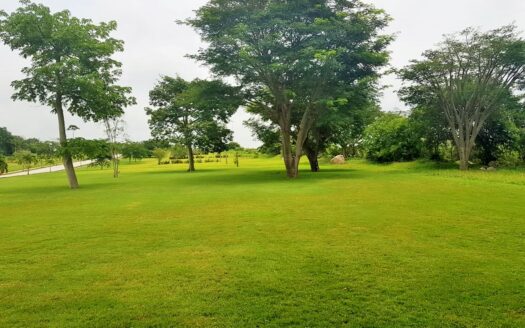 Terrenos Habitacionales Fracc. San Javier Cuahutemoc, Colima