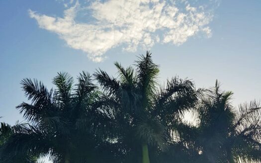 Terrenos Habitacionales Fracc. San Javier Cuahutemoc, Colima