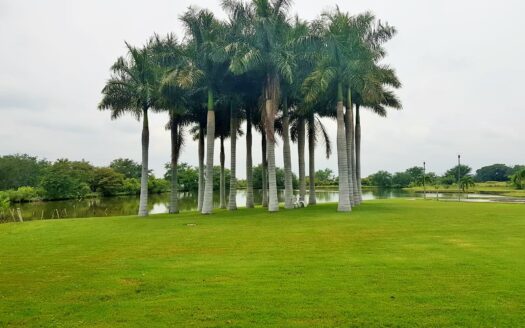 Terrenos Habitacionales Fracc. San Javier Cuahutemoc, Colima