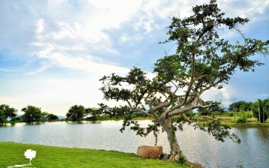 Terrenos Habitacionales Fracc. San Javier Cuahutemoc, Colima
