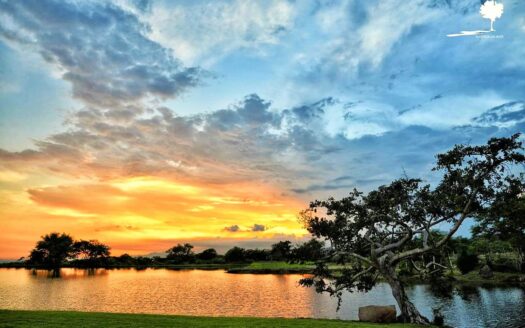 Terrenos Habitacionales Fracc. San Javier Cuahutemoc, Colima