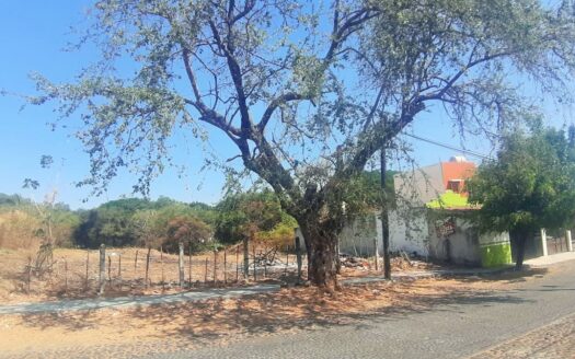 Terreno Comercial Comala, Colima