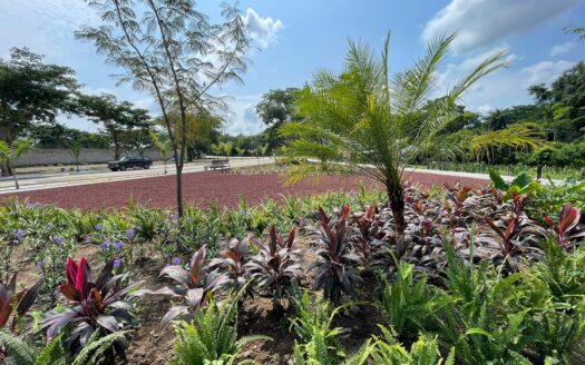 Terrenos Habitacionales Fracc. Residencial el Pedregal Colima, Colima (LMC)