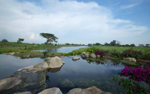 Terreno Habitacional Fracc Altozano Colima, Colima